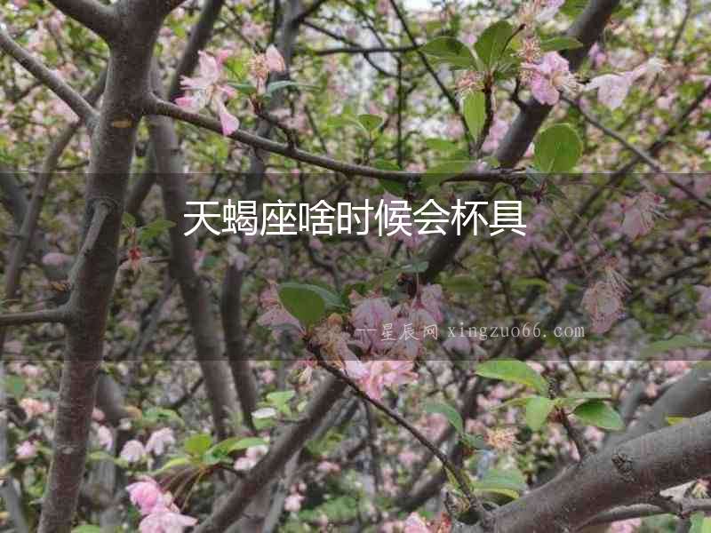 天蝎座啥時(shí)候會(huì)杯具