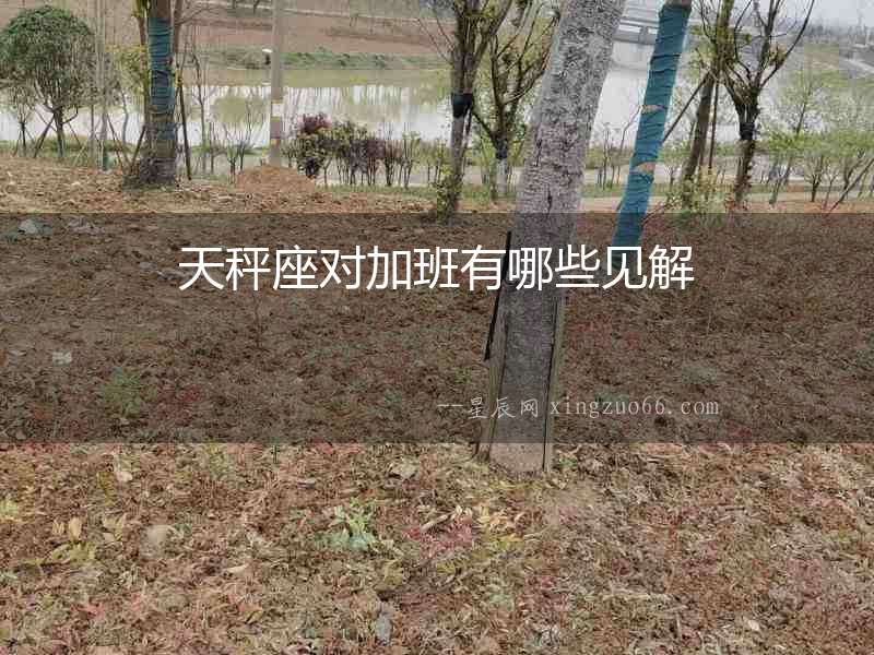 天秤座對(duì)加班有哪些見(jiàn)解