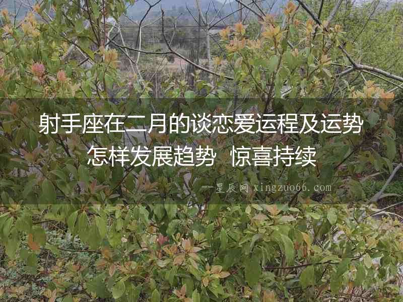 射手座在二月的談戀愛運(yùn)程及運(yùn)勢怎樣發(fā)展趨勢  驚喜持續(xù)
