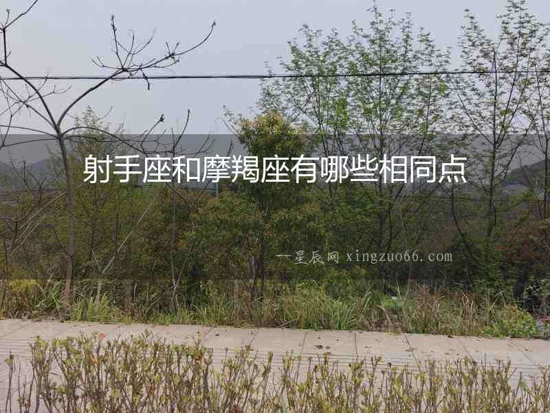 射手座和摩羯座有哪些相同點(diǎn)