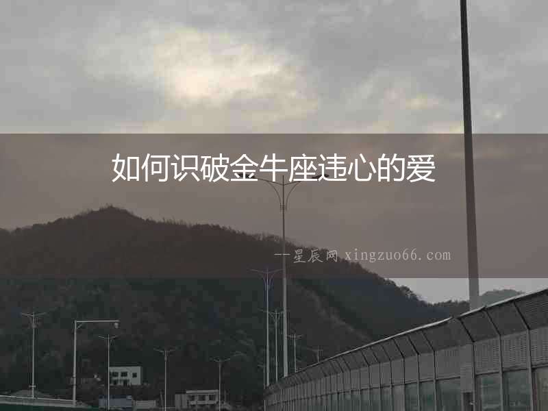 如何識破金牛座違心的愛