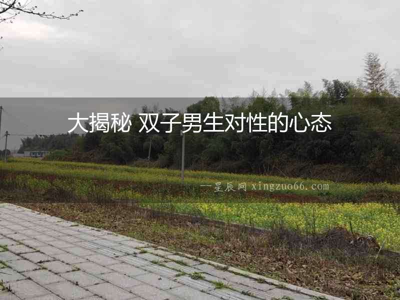 大揭秘 雙子男生對(duì)性的心態(tài)