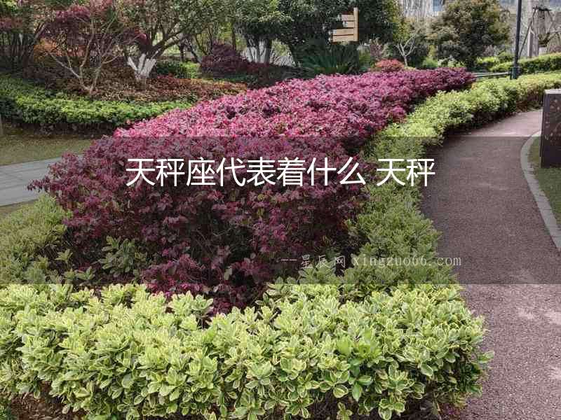 天秤座代表著什么 天秤