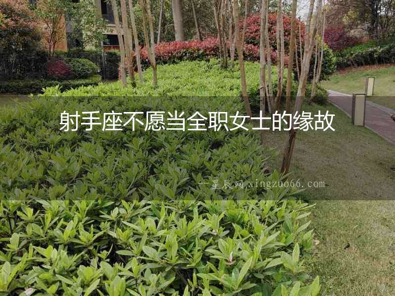 射手座不愿當全職女士的緣故