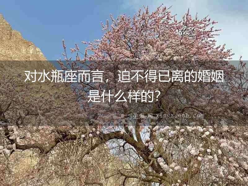 對水瓶座而言，迫不得已離的婚姻是什么樣的？