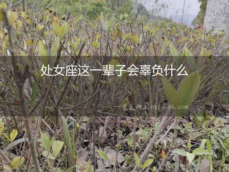 處女座這一輩子會辜負什么