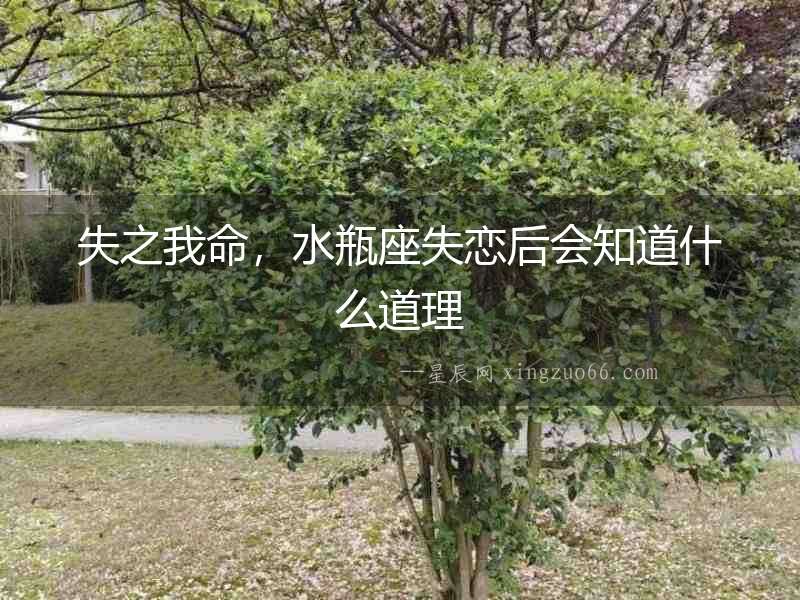失之我命，水瓶座失戀后會知道什么道理