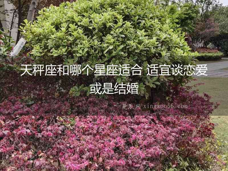 天秤座和哪個星座適合 適宜談戀愛或是結婚
