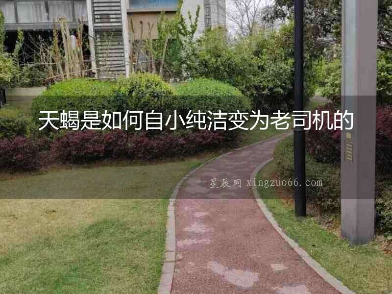 天蝎是如何自小純潔變為老司機的