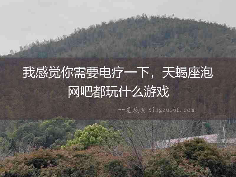 我感覺你需要電療一下，天蝎座泡網吧都玩什么游戲