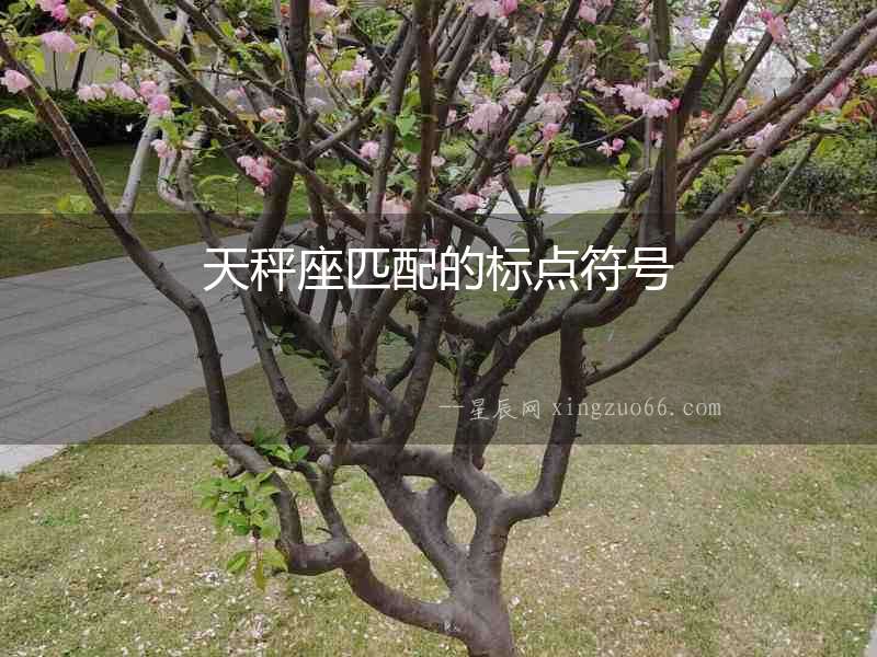 天秤座匹配的標點符號