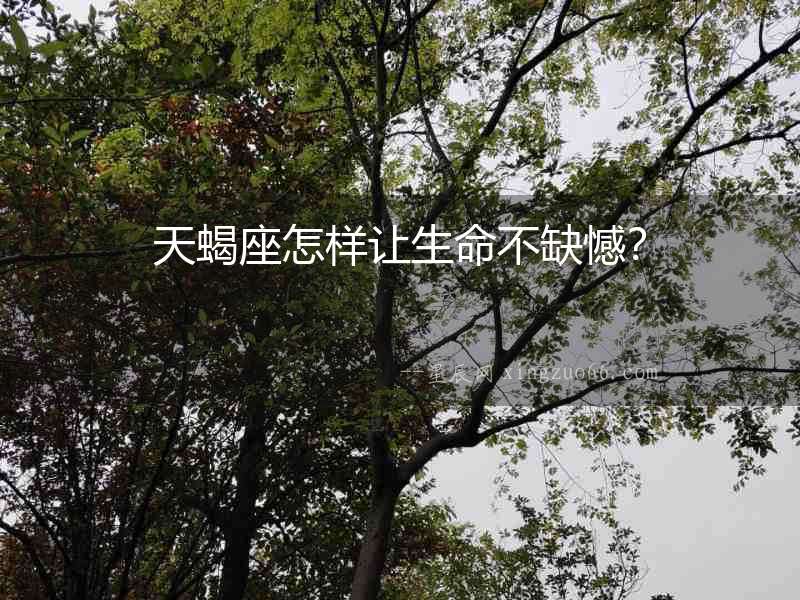天蝎座怎樣讓生命不缺憾？