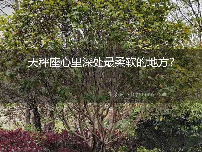 天秤座心里深處最柔軟的地方？