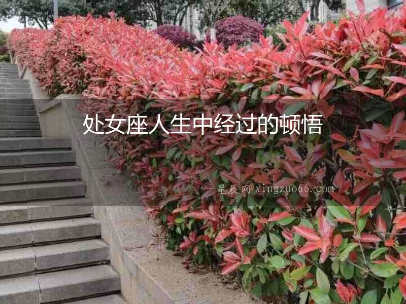 處女座人生中經(jīng)過的頓悟