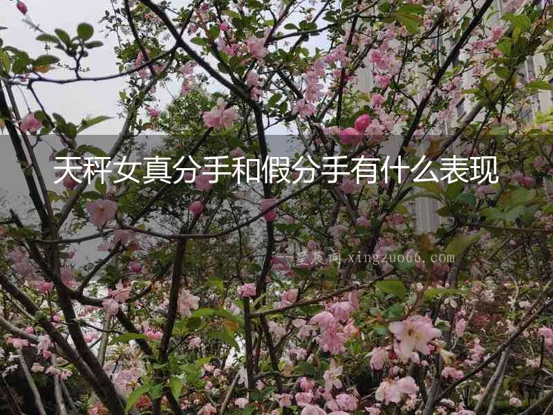 天秤女真分手和假分手有什么表現(xiàn)