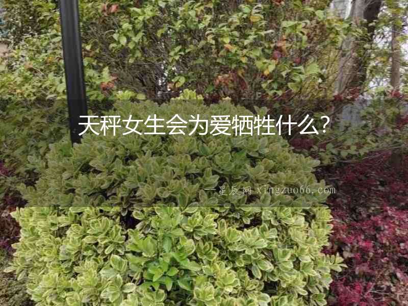 天秤女生會為愛犧牲什么？