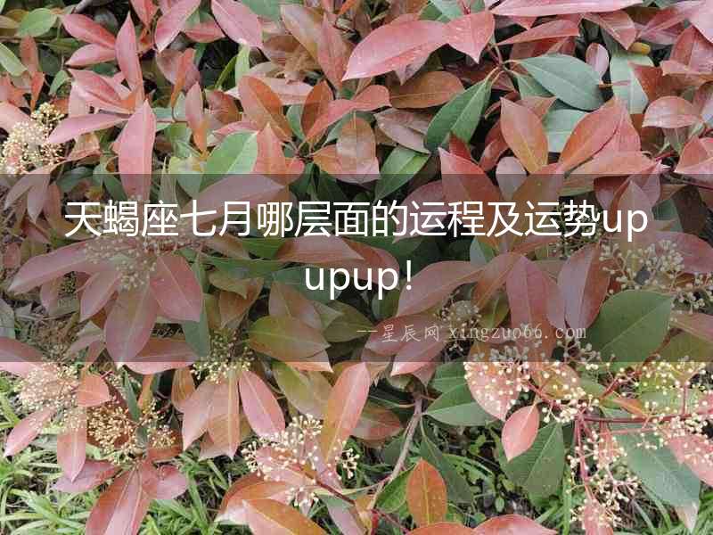 天蝎座七月哪層面的運(yùn)程及運(yùn)勢upupup！