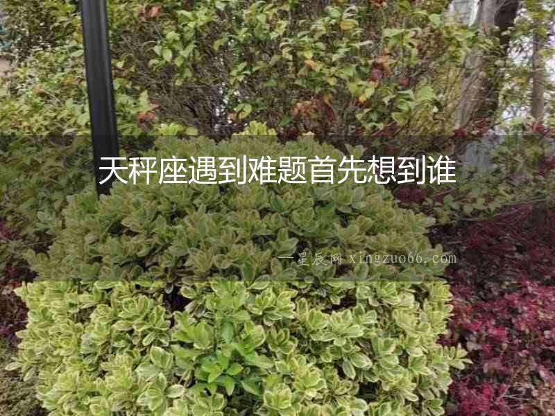 天秤座遇到難題首先想到誰