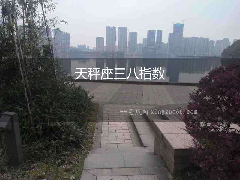 天秤座三八指數