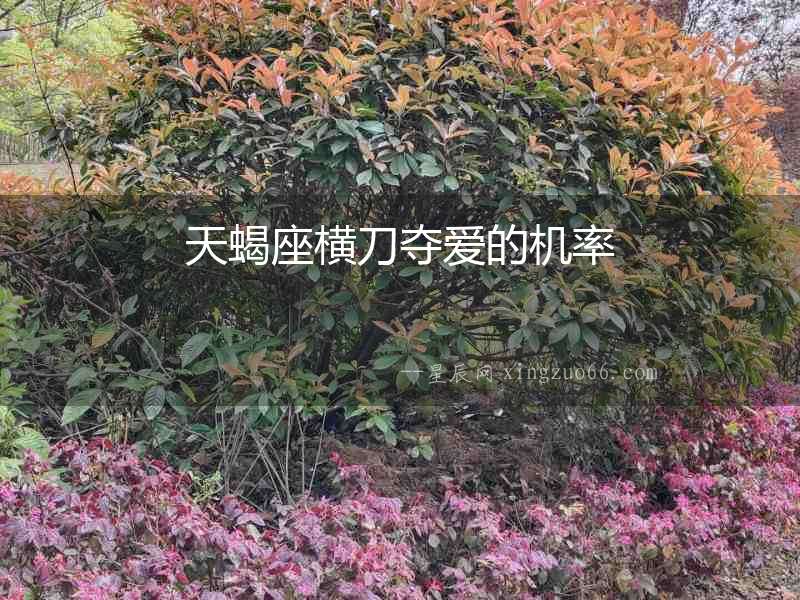 天蝎座橫刀奪愛的機(jī)率