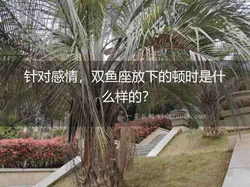 針對(duì)感情，雙魚座放下的頓時(shí)是什么樣的？