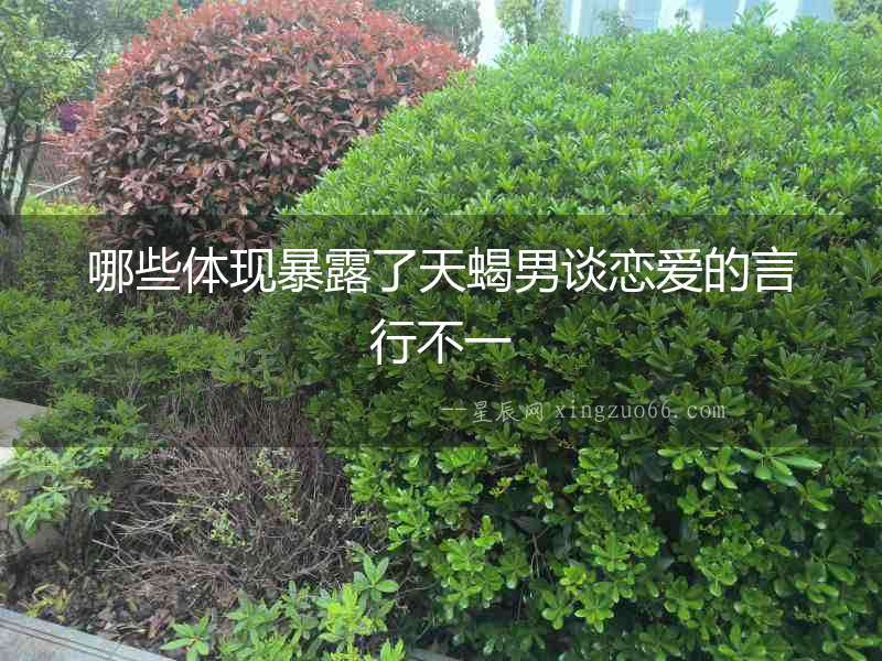 哪些體現(xiàn)暴露了天蝎男談戀愛(ài)的言行不一
