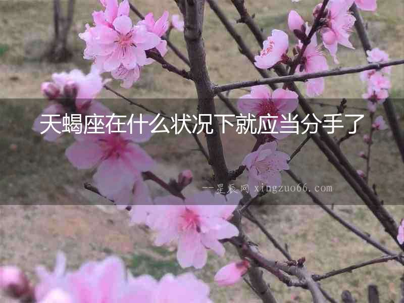 天蝎座在什么狀況下就應(yīng)當(dāng)分手了