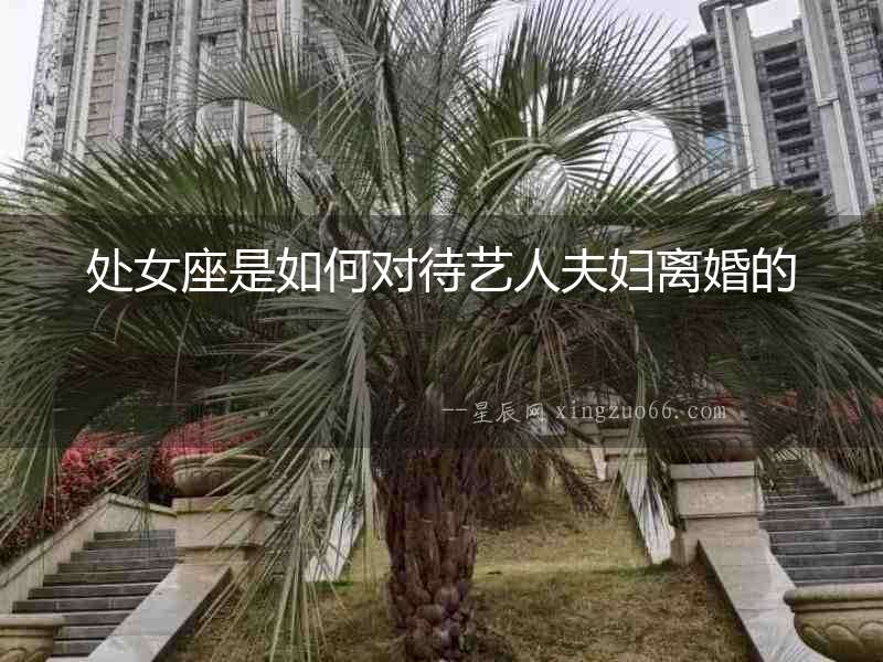 處女座是如何對待藝人夫婦離婚的