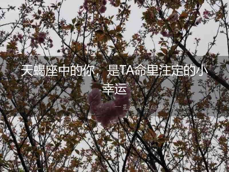 天蝎座中的你，是TA命里注定的小幸運