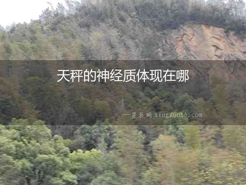天秤的神經質體現在哪