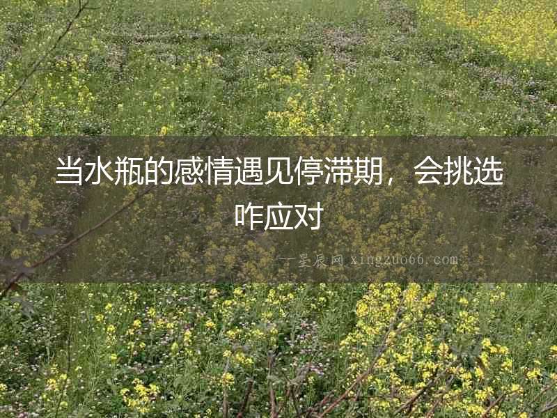 當水瓶的感情遇見停滯期，會挑選咋應對