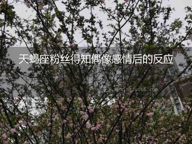 天蝎座粉絲得知偶像感情后的反應(yīng)