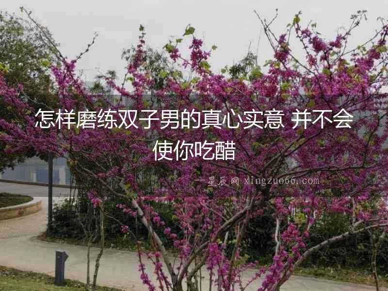 怎樣磨練雙子男的真心實意 并不會使你吃醋