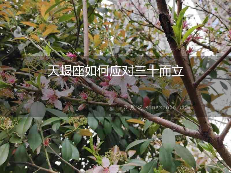 天蝎座如何應對三十而立