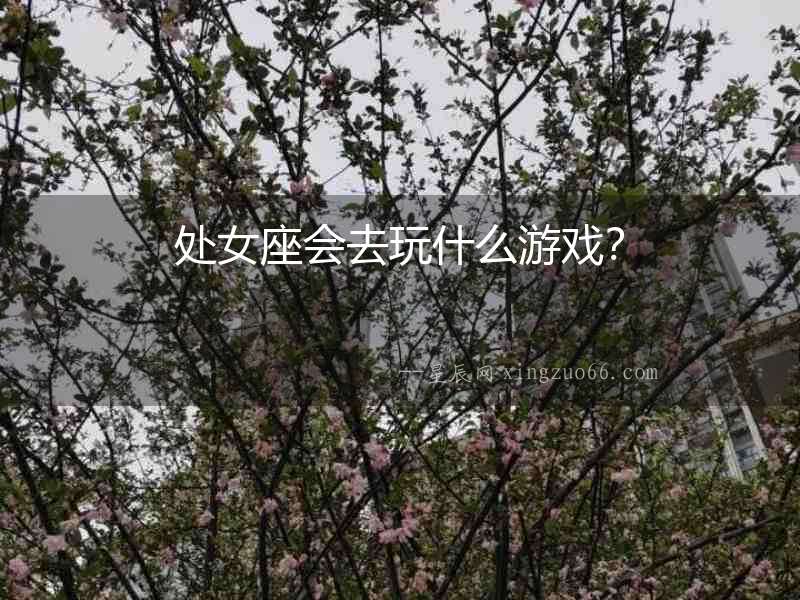 處女座會去玩什么游戲？