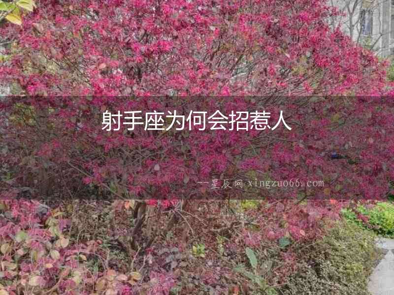 射手座為何會(huì)招惹人