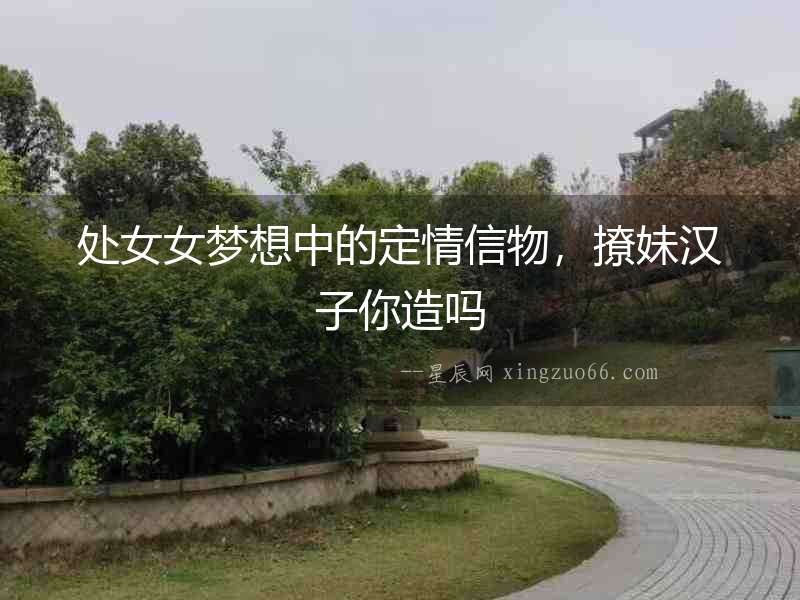 處女女夢想中的定情信物，撩妹漢子你造嗎