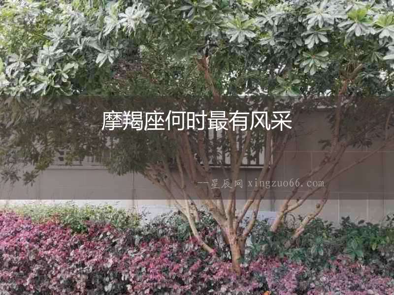 摩羯座何時(shí)最有風(fēng)采