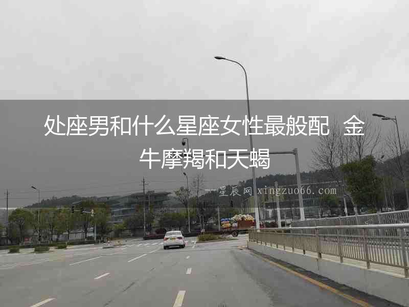 處座男和什么星座女性最般配  金牛摩羯和天蝎