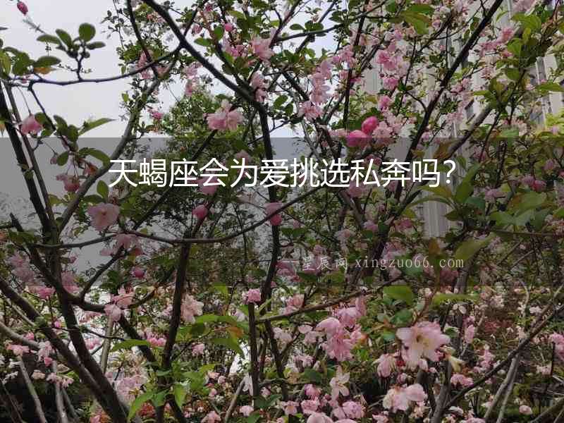天蝎座會(huì)為愛(ài)挑選私奔嗎？