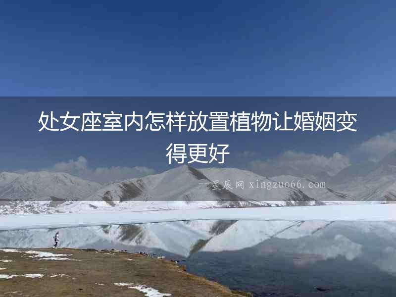 處女座室內(nèi)怎樣放置植物讓婚姻變得更好