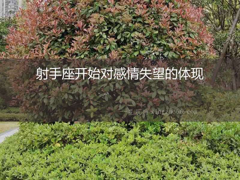 射手座開始對感情失望的體現(xiàn)