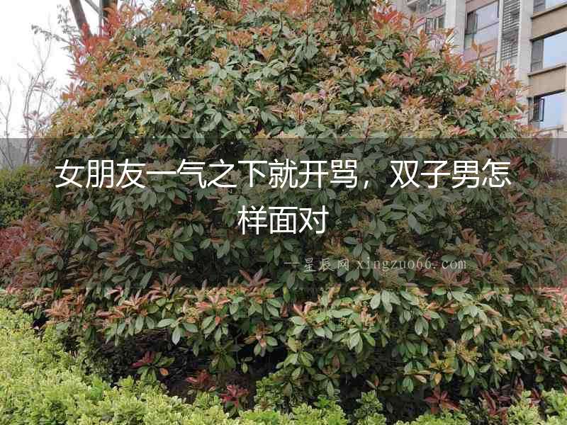 女朋友一氣之下就開(kāi)罵，雙子男怎樣面對(duì)