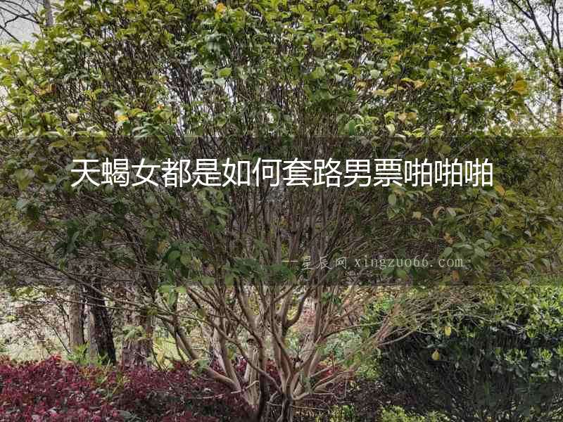 天蝎女都是如何套路男票啪啪啪