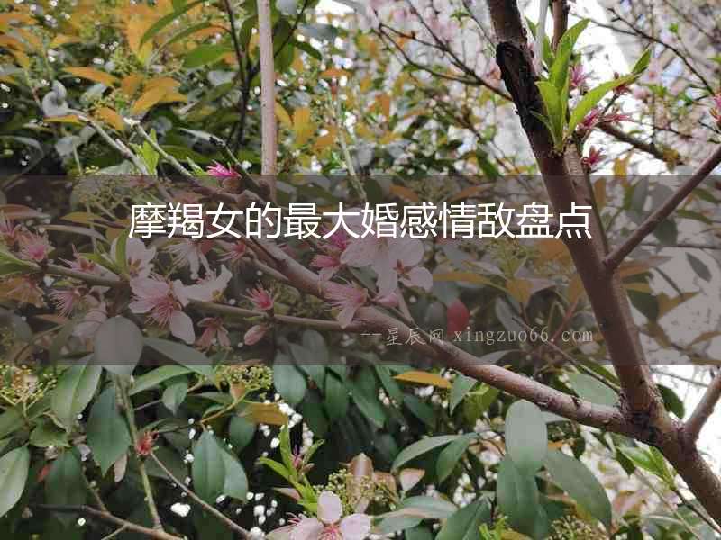 摩羯女的最大婚感情敵盤點(diǎn)