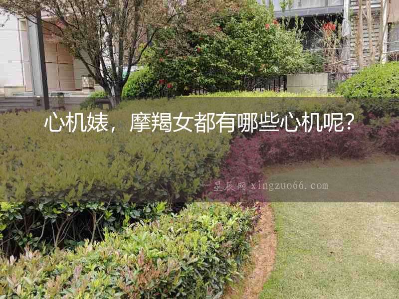 心機(jī)婊，摩羯女都有哪些心機(jī)呢？