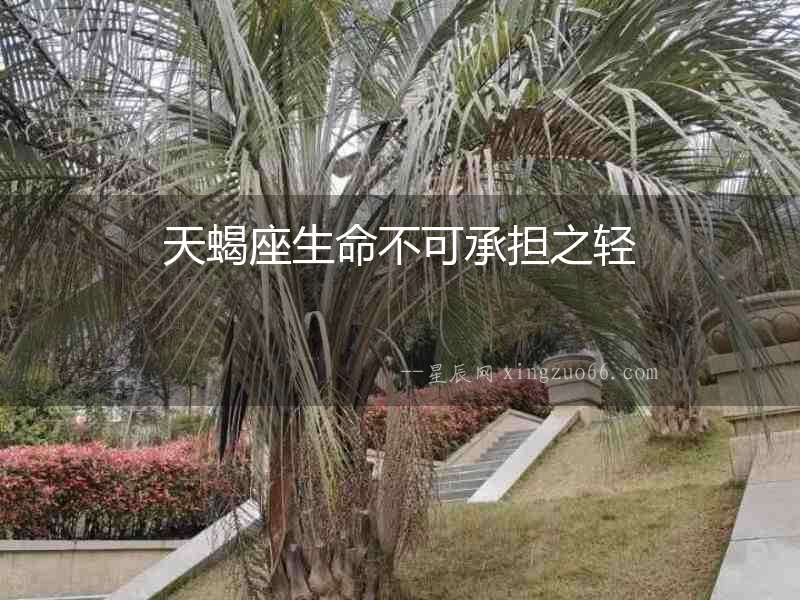 天蝎座生命不可承擔之輕