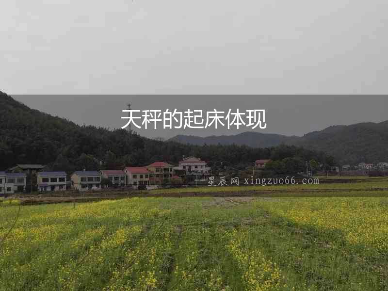 天秤的起床體現