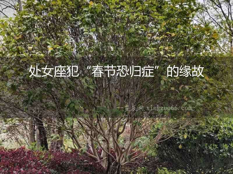 處女座犯“春節恐歸癥”的緣故