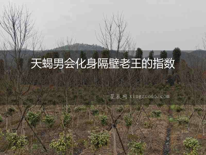 天蝎男會化身隔壁老王的指數